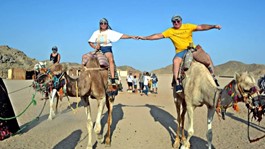 /photos/dailytrip/Safari 15 Titos_ffb95_lg.jpg